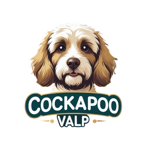 Cockapoo Valp